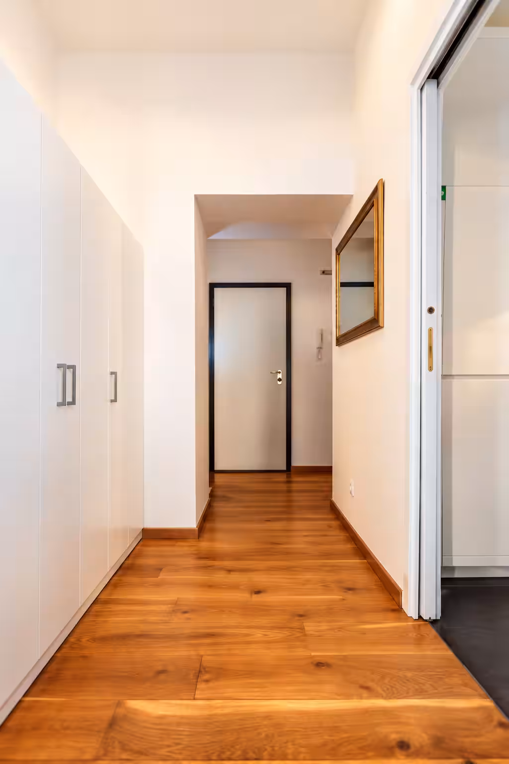 Hound Deluxe Suite · 35