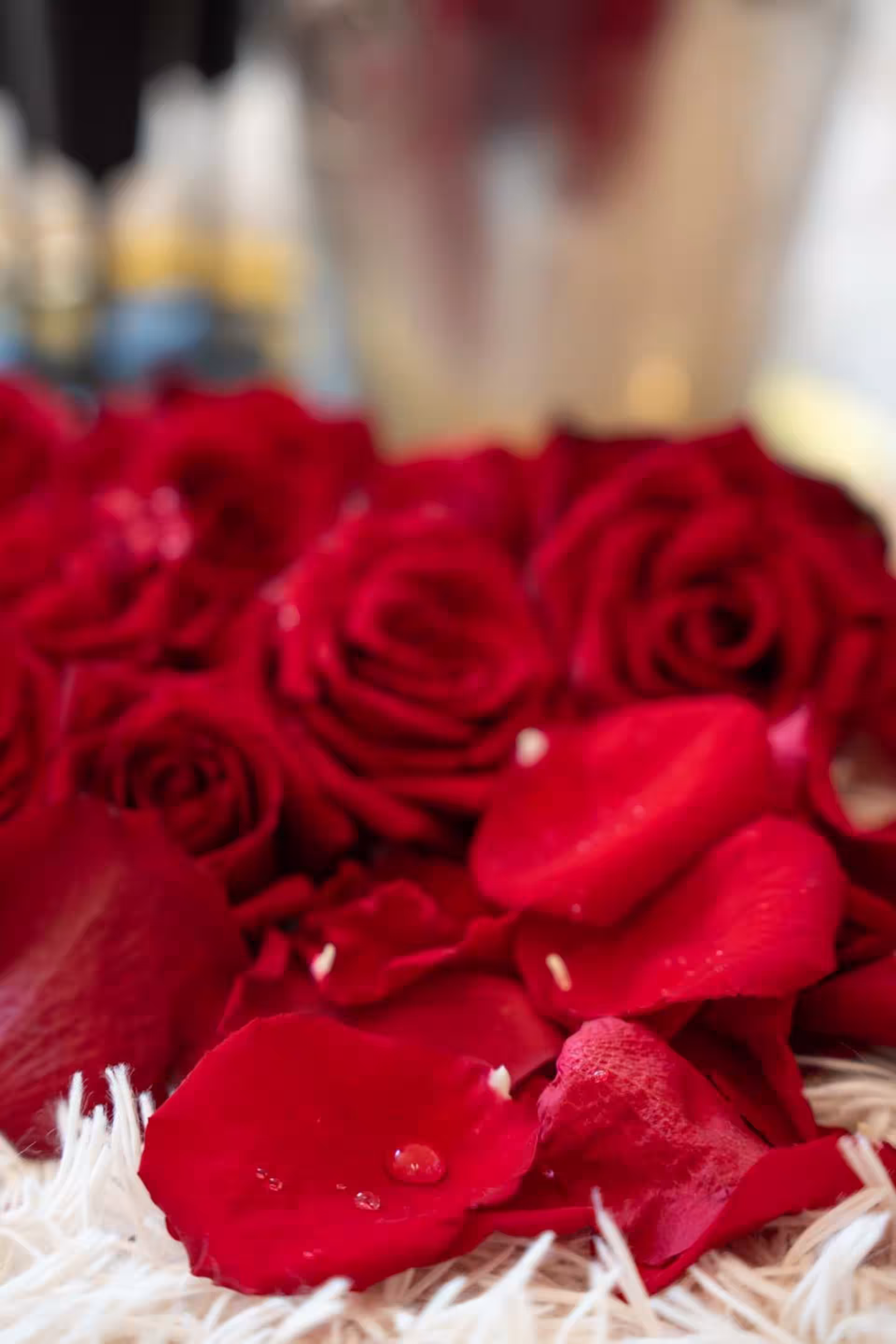 Royal Prague Heart Suite · 58