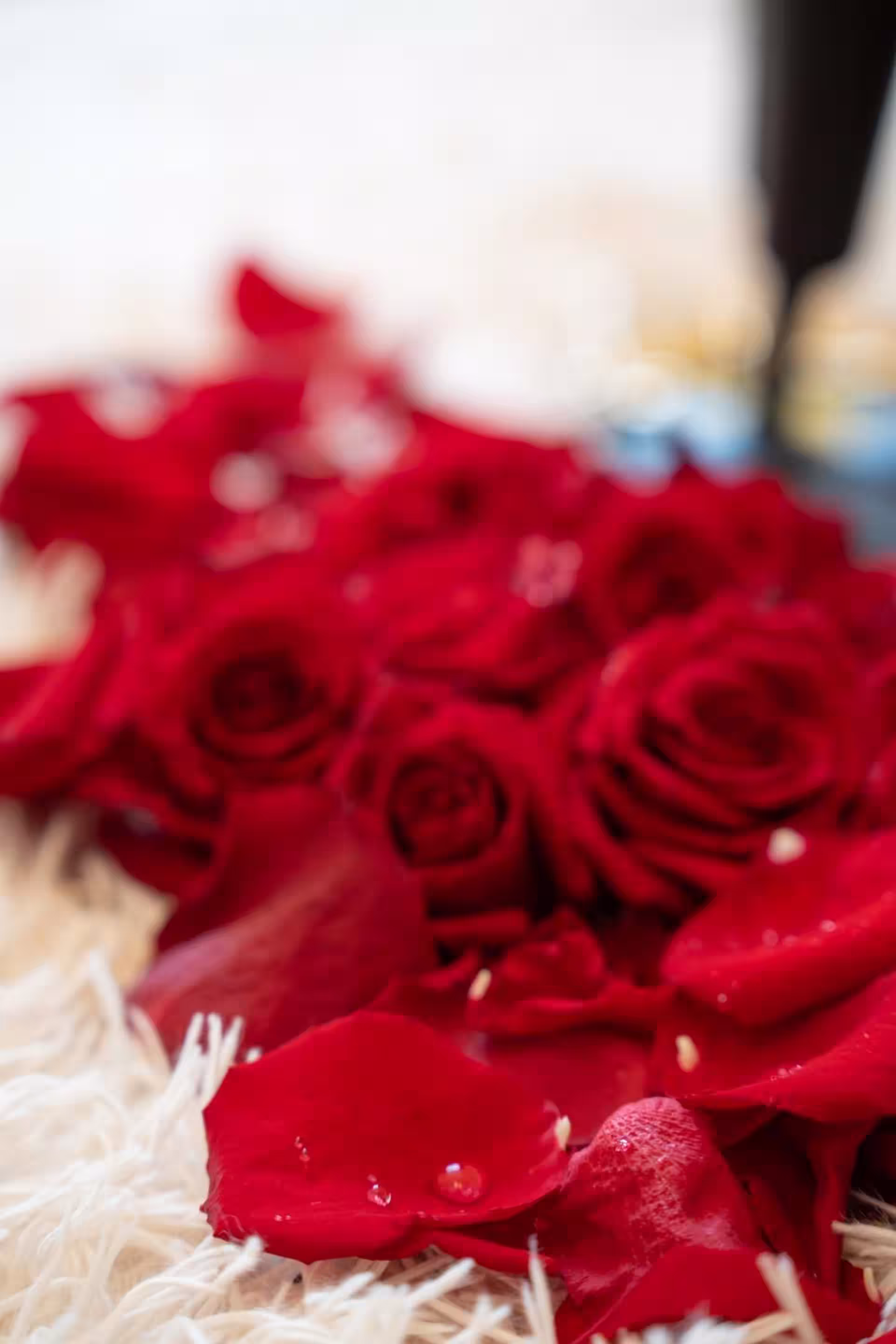 Royal Prague Heart Suite · 61
